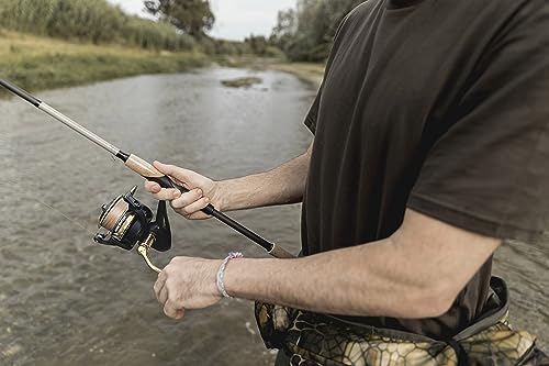 Ashconfish Spinning Fishing Reel, Graphite Body, 7+1 Stainless Steel BB, 5.0:1 Gear Ratio, Lightweight Spinning Reel for Freshwater Saltwater Fishing, Come with 109 yds Braided Line - size: AF4000B