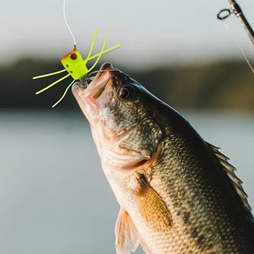 Fly Fishing Poppers Fly Fishing Dry Flies Topwater Fishing Lures Bass Popper Flies Bugs Lures Panfish Bait Fly Trout Bobber Flies Kit for Bass Trout Panfish Bluegill Salmon - color: 20pcs Fly Fishing Poppers