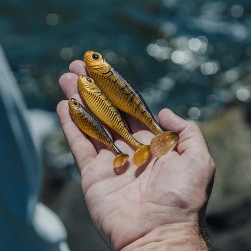 Nomad Design Live Ops Dozer 3” Minnow Unrigged Swimbait Soft Bait Lure, Slow-Speed High Vibration with Reactor-UV & Glow, Pink Floss (5 Pack), for Speckled Trout & Redfish