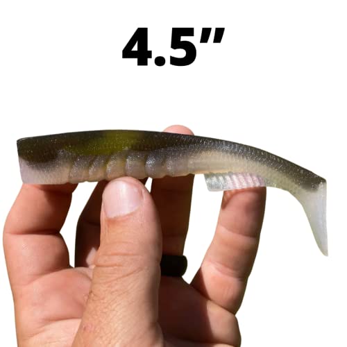 Extreme Paddle Tail Swim Baits - Soft Plastic Swimbaits, Premium Paddle Tail Swimbaits for Bass Fishing, Great Action Lifelike Saltwater Soft Swimbait Shad Lure - color: Green Pumpkin Shad, size: 4.5"