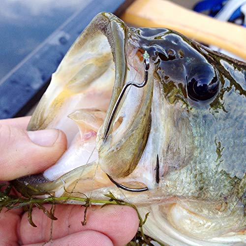 Bass Fishing Hooks 3X Strong Offset EWG Worm Hooks Jigs for Soft Plastic Bait Bass Trout Texas Rig 1-5/0 - size: 150PCS-3/0