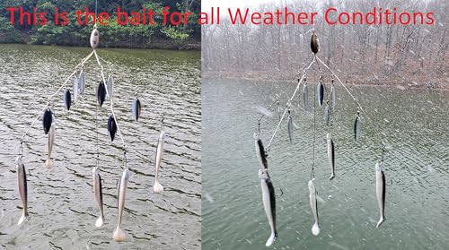 Fishing Vault Fully Rigged 5 Arms 8 Bladed Umbrella Rig Bass Lure W/Swim Baits and Jig Heads Included