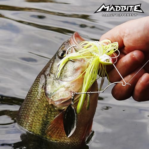 MadBite by KastKing Spinnerbait Fishing Lures, Bass Trout Salmon Walleye Stainless Steel Spinner Baits Kit, Saltwater Freshwater, 4 pcs - color: Clear Water - Colorado & Willow, size: 1/2oz