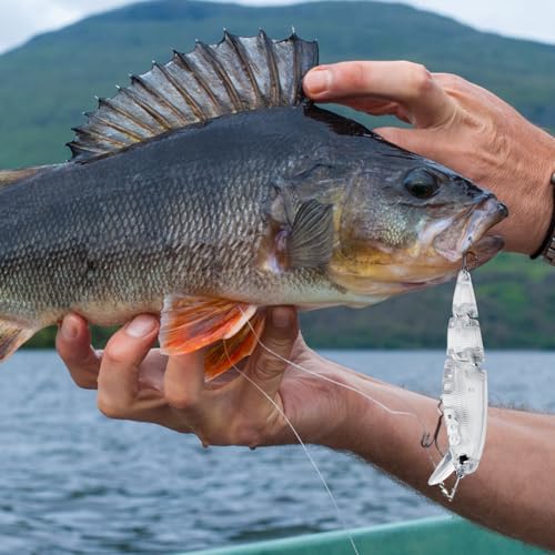 10pcs/20pcs Fishing Blanks Lures Kit Fishing Topwater Unpainted Swimbait Unpainted Crankbaits Hard Baits DIY Lure for Bass Salmon Trout Saltwater and Freshwater - color: I: 10Pcs 0.46oz/13.1g