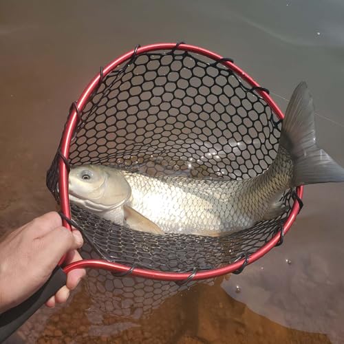 Short Handle Rubber Fishing Landing Net, 19.7" Lightweight Aluminum Frame, Portable EVA Foam Handle Trout Net for Kayak Stream Catch and Release, Hook-Friendly Rubber Netting Landing Net - color: Red