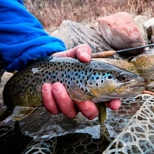 Wooden Frame Fly Fishing Net with Soft Rubber Mesh,Low-Weight Landing Net for Trout & Bass,Catch-and-Release Design for Stream and River Fly Fishing