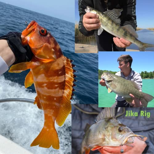 220Pcs/Box 2X Strong High Carbon Steel Worm Fishing Hook,8 Sizes Mixed(5/0,4/0,3/0 2#,4#), Senko Soft Bait Fish Hook Set for Bass,Barded Design,25 Pcs Eye Beads Bait