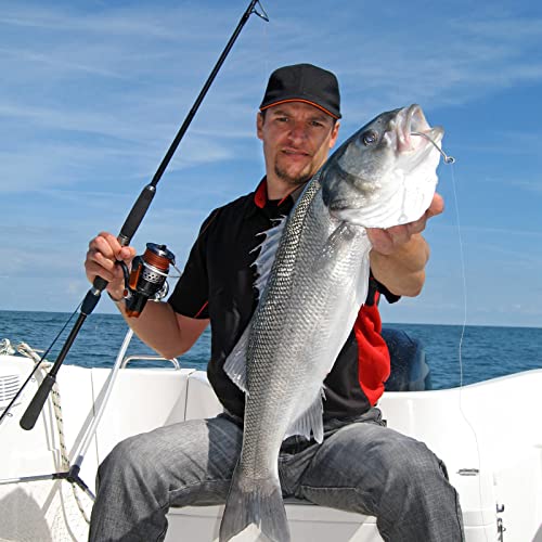 UCEC Circle Hooks Fishing Hooks 2X Strong Offset Circle Hooks Saltwater Black High Carbon Steel Octopus Catfish Hooks Fishing Gear Tackle 150pcs/ 240pcs - Size:#1 1/0 2/0 3/0 4/0 5/0 6/0 8/0 - color: Silver One Size, size: 40pcs, 7/0