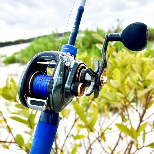 Piscifun Alinox 300 Baitcaster Fishing Reel,Aluminum Frame Baitcasting Reel, 33Lbs Max Drag, Freshwater & Saltwater Low Profile Casting Reel for Musky, Available in 6.6:1/8.1:1 Gear Ratio - color: Gray-8.1:1