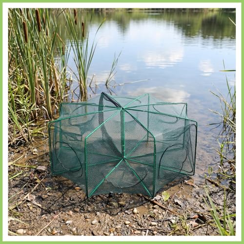 Foldable Fish Trap Net with 8 Holes, Collapsible Fishing Bait Trap for Minnow, Crab, Shrimp, Crawfish, 2 Pack
