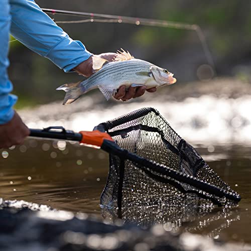 KastKing Pontus Fishing Net, Foldable & Lightweight Landing Net with Built in Length Scale, Strength Aluminum Handle, Fishing Gear and Gift for Men - style: Net Combo- Hoop Size: 23"(extendable)