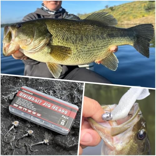 3D Eyes Bass Jig Heads for Fishing, 15Pcs Finesse Swimbait Jig Head with Cone Bait Keeper Lifelike Minnow Style Jigheads Saltwater&Freshwater 1/8 3/16 1/4 3/8 1/2oz - size: Size Assorted, 15Pcs