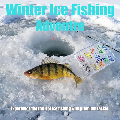 Ice Fishing Jigs Set, 50Pcs Jig Heads for Ice Fishing Lure for Crappie Trout Perch Sunfish Panfish Walleye Pike