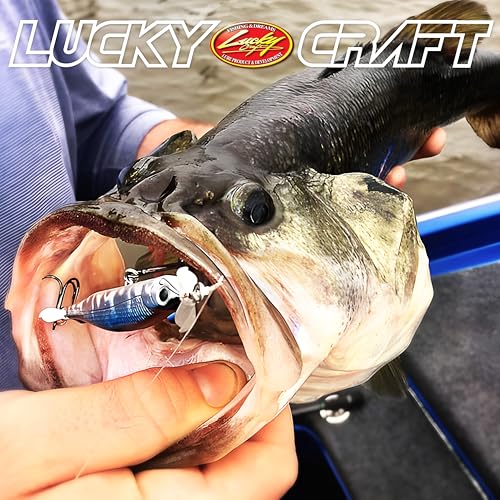 LUCKY CRAFT Screw Pointer 80 Fishing Lures for Bass, Smallmouth, Walleye, Rhymthic Action Spy Bait, Slow Sinking to 10ft Depth, Freshwater Fishing Gear and Tackle Accessories - color: 270 MS American Shad