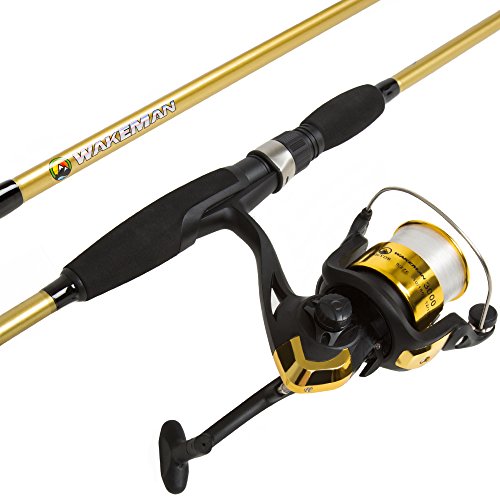 Fiberglass Fishing Pole - Strike Series 78-Inch Collapsible Rod and Spinning Reel Combo, EVA Handle, Pre-Spooled Reel, Fishing Gear for Catching Walleye, Bass, Trout, and More by Wakeman - color: Trophy Gold