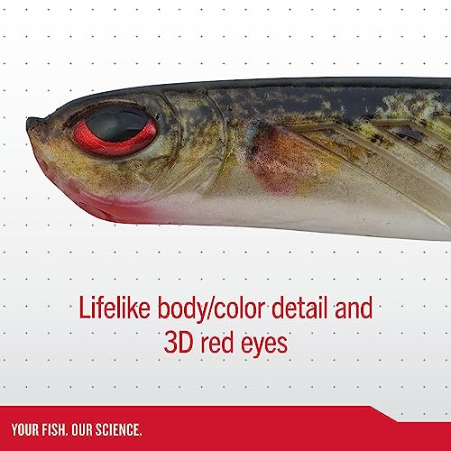 Berkley PowerBait Ripple Shad Fishing Soft Bait - color: Blue Silver, size: 2" (8 Count)