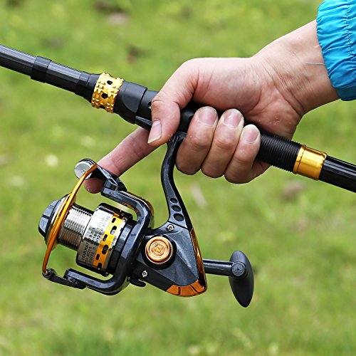 Sougayilang Fishing Rod Reel Combos Carbon Fiber Telescopic Fishing pole with Spinning Reel for Travel Saltwater Freshwater Fishing - color: Only Fishing Rod and Reel, size: 5.91 ft