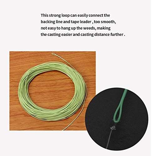 100FT WF3F WF5F WF8 Fly Fishing Line Combo Weight Forward Fly Line with Braided Backing Tapered Leader Preload Fly Line with Welded Loop - color: Moss Green, size: WF 8F Fly Line Combo