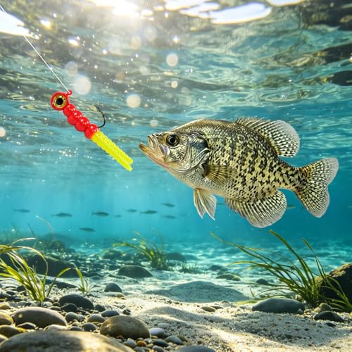 100PCS Crappie Lures Kit, Split Tail Soft Plastic Baits & 3 Sizes Jig Heads 1/32oz 1/16oz 1/8oz, Panfish Bluegill Shad Minnow Fishing Jig Lures Complete Tackle Box Set - size: 20pcs 1/32oz Jig Heads + 80pcs Soft Lures Combo
