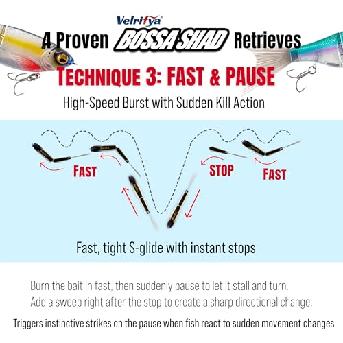 Bossa Shad Multi-Jointed Swimbait – Realistic Shad Profile with Natural Swimming Action for Bass Fishing - color: 03-Ghost Blue