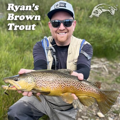Panther Martin Fishing Lures 6-Pack All Time Greatest Fish Catcher World Famous Spinning Lures in Value Kit Spinners for Trout, Salmon, Panfish, Bass, Crappie & Perch - style: Dualflash