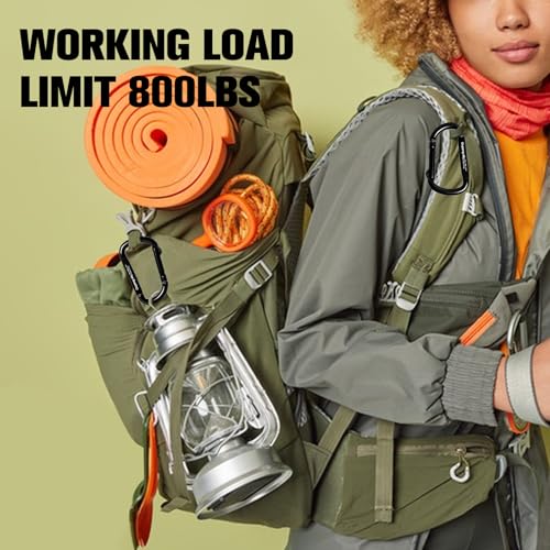 Carabiner Clip - Heavy Duty Carabiners 800lbs-13KN (2922 lbs) Carabeaner D Ring Shape,Key Chain Clip Hook,Keychain Clip,Multipurpose for Camping, Hiking,Backpacking or Other Outdoor Activities. - style: 12PCS 2.5 Inch(800 lbs)