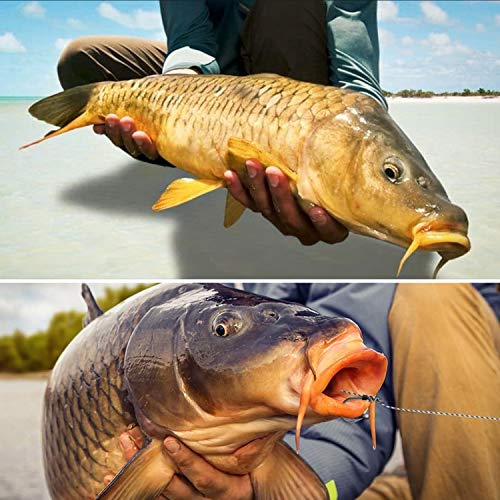 Carp Fishing Hair Rigs Kit,18pcs Braided Thread Boilies Carp Rigs with 3 Extender Boilie Bait Stops and Stringer Needle - color: 18pcs Carp Rigs +3 Boilie Bait Stops+4 Bait Needle