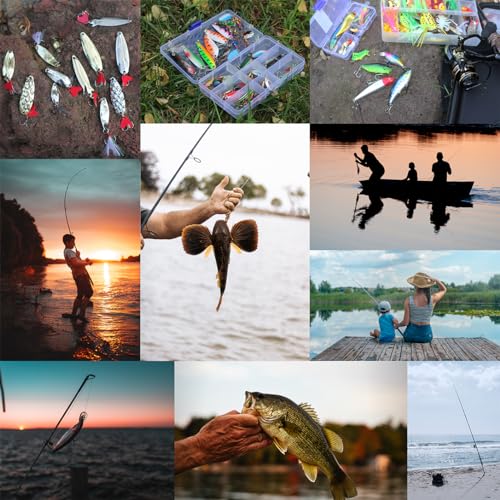 EXAURAFELIS Fishing Lures,Tackle Box with Tackle Included, Crankbaits, Spoon, Shrimp Worm Bait, Hooks,Weights & Other Accessories, Fishing Lures kit Lure Set for Bass Trout Salmon - color: Black-399pcs