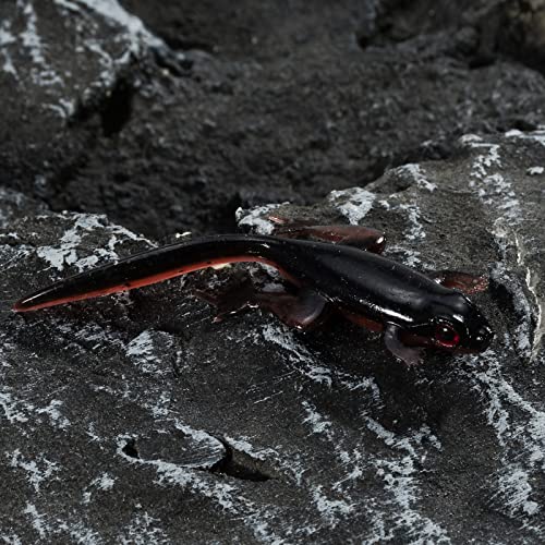 Dr.Fish 6 Pack Soft Plastic Frog Baits, 3.2 Inches Tadpole Swimbaits Frog Lures Bass Crappie Lures Creature Lizard Bait Shad Drop Shot Panfish Bluegill - color: Red Shad