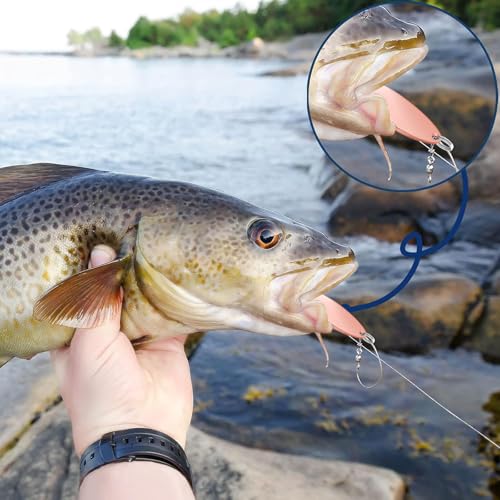 HESTYA Fishing Lures Spoons Saltwater Treble Trout Lures Hard Metal Spinner Baits 5 Sizes Casting Spoon Hooks for Salmon Bass in 1/5 1/4 3/8 1/2 3/4 oz - color: Silver, Rose Gold