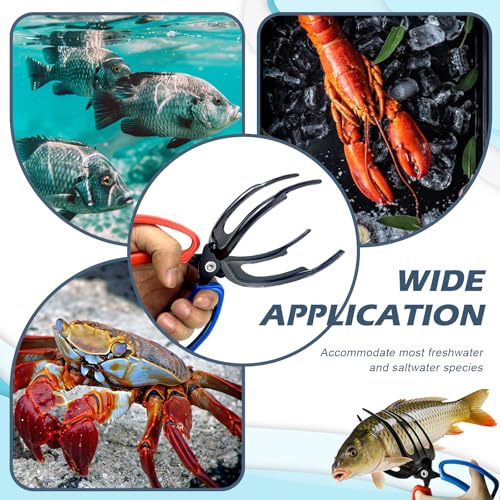 4 Packs 2/3 Claw Fish Gripper, Fish Grabber, Metal Fishing Pliers, Fish Grip Tackle Holder, Multifunctional Fishing Control Clamp, Forceps for Grip Most Freshwater