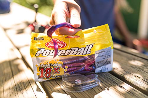 Berkley PowerBait Power Worms Fishing Soft Bait - color: Black Grape, size: 7" (13 Count)