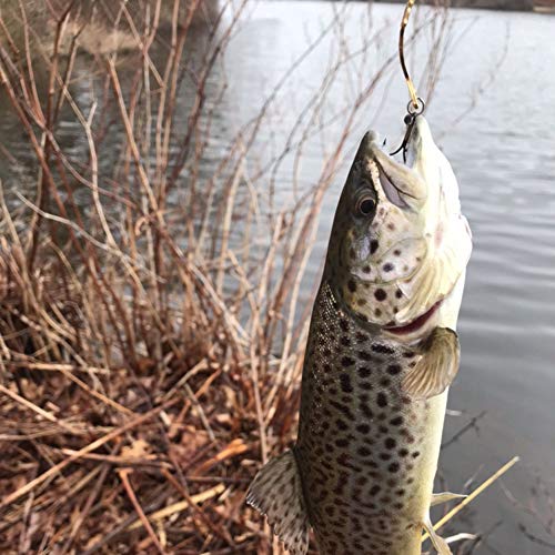Acme Phoebe Spinning Lure
