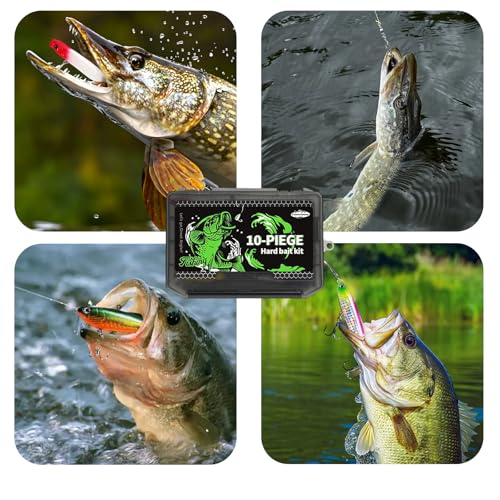 FONMANG Fishing Lures - Tackle Box with Tackle Included, Fishing Kit with VIBs, Frogs, Minnows, Soft Baits, Hooks & Weights Accessories, Freshwater Lure Kit for Bass Walleye Trout - color: F3-10pcs Hard Bait