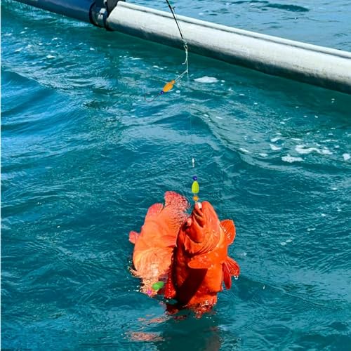 6Pcs Pompano Fishing Rigs Ready Kit,3 in 1 Float Rigs with Triple 3/0 Circle Hook for Surf Fishing,(12/0) Fishing line / 50in length/50lbTension in freshwter and Saltwater