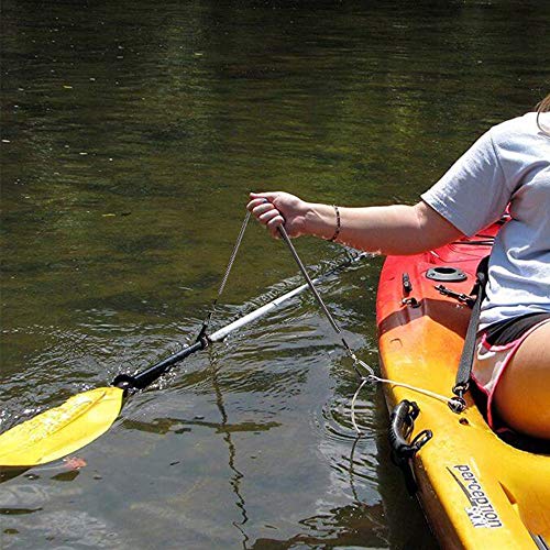 HERCULES M4 Fishing Lanyard, Fishing Pole Tether, Kayak Paddle Leash, Heavy Duty Retractable Coiled Lanyard for Fishing, Rods, Pliers, Boating, Paddles, Kayak - color: Paddle Leash (17.7" Plus)