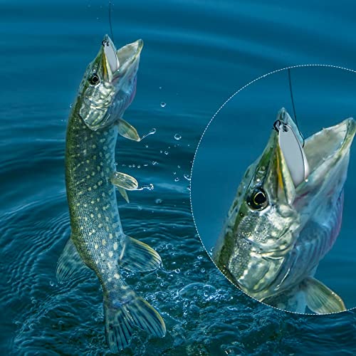 HESTYA Fishing Lures Spoons Saltwater Treble Trout Lures Hard Metal Spinner Baits 5 Sizes Casting Spoon Hooks for Salmon Bass in 1/5 1/4 3/8 1/2 3/4 oz - color: Silver, Gold