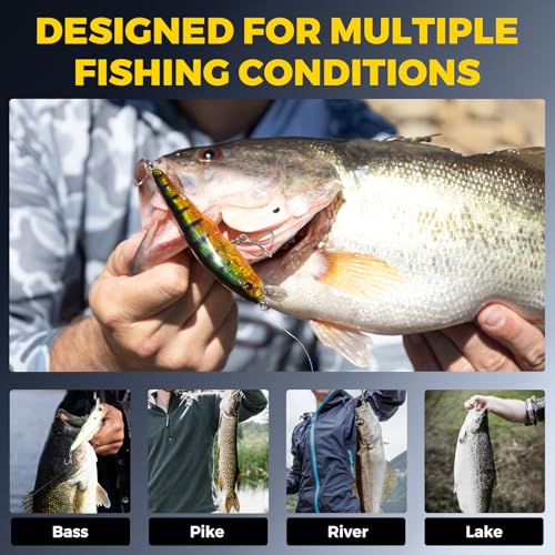 Topwater Fishing Lures -Hard Swimbait,3 8/9in 1/2oz Floating Lure with Hollow Cavity for Scent Attractant, for Bass,Pike,Trout,Freshwater & Saltwater - color: Salmo Salar