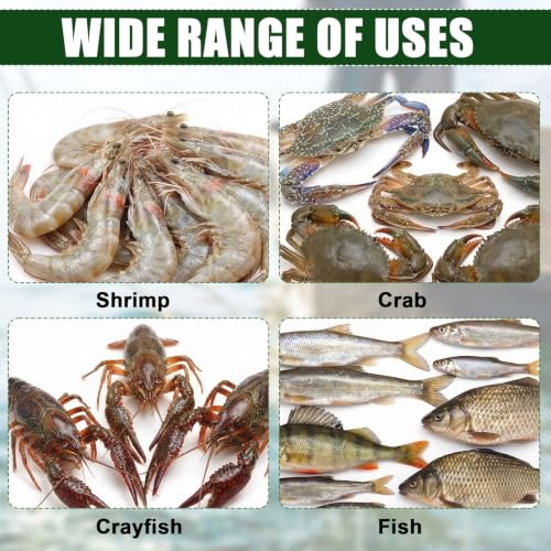 3 Pcs Fish Casting Net Collapsible Minnow Cage with Bait Box Rope Storage Bag, Folding Nylon Fishing Crabbing Equipment and Supplies for Lobster Crawfish Crayfish Crawdad Shrimp