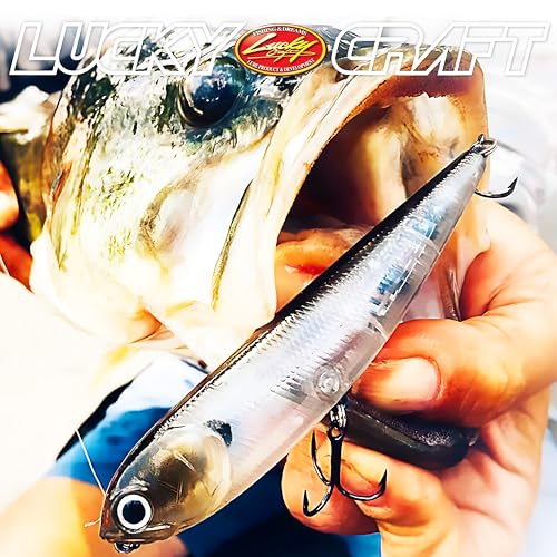 LUCKY CRAFT Sammy 115 Topwater Fishing Lures, 4.5" Midsized Surface Bait, Trout and Bass Lures, Walk-The-Dog Tournament Bait, Bass Fishing Gear - color: 723 Zebra MS Chartreuse Shad