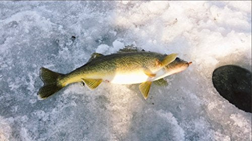 Ice Fishing Jigs Lead Jig Heads Fishing Lure Jigs Winter Metal Lures - color: 0.71inch/0.08oz-12pcs