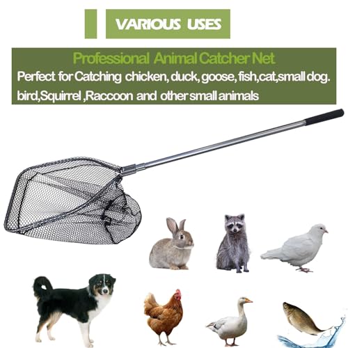 Catch Pole Net with Telescopic Handle,Animal Catcher Net for Cat,Rabbit,Chicken,Duck,Goose,Fish,Racoon,and Other Poultry Wildlife