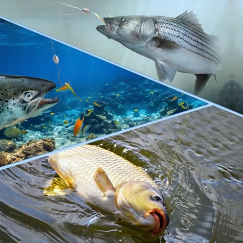 WALWAL Fishing Egg Sinker Weights | Unmatched Precision Casting: Elevate your fishing game with our Egg Sinker Weights