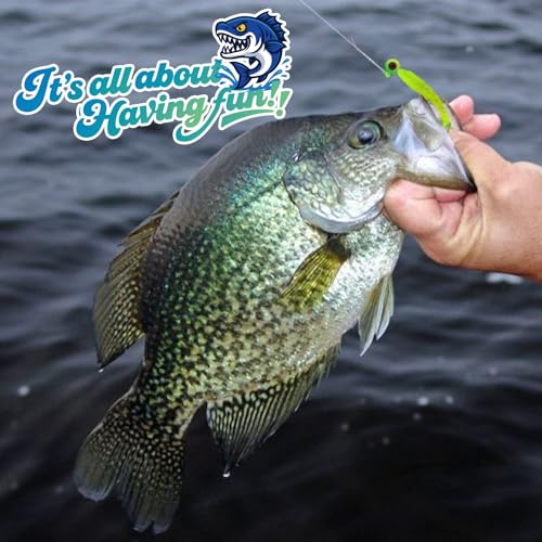 120pcs Fishing Crappie Lures -70pcs Jig Heads Hooks Kit,Small Soft Plastic Grub Lure, Tube Bait Jig Heads for Saltwater Freshwater Fishing - size: 110 pieces (30 Jig Heads + 80 Soft Baits)