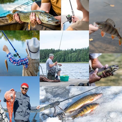 10Pcs Spinner Baits Rooster Tail Fishing Lure Kit for Bass Trout | 0.1-0.4oz 2-in-1 lure set freshwater saltwater | Spinning blade vibration flash | Solid brass sharp hooks | Bright feathers