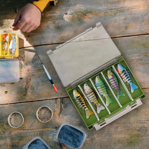 Double Sided Fishing Lure Box Organizer, Fishing Tackle Box Storage Hard Plastic Container Case for Lure Bait Hooks Beads (Green, 7.8 * 5.8 * 1.6 inch) - color: Green