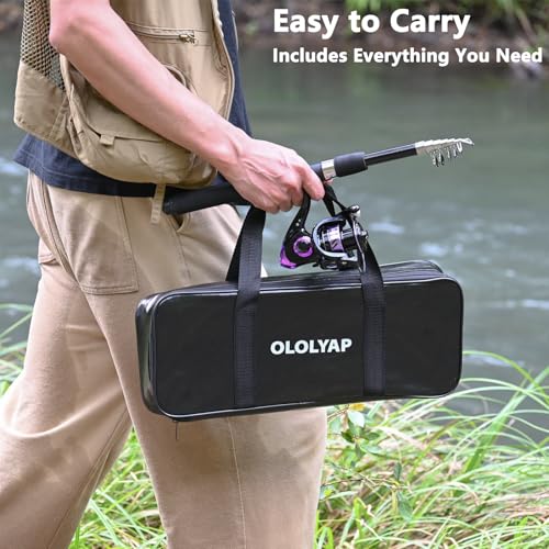 Fishing Pole Combo 2PCS Telescopic Fishing Rod and Aluminum Reel Combos with Carrier Bag Sea Saltwater Freshwater Fishing Rod Reel Kits