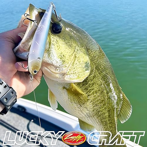LUCKY CRAFT Sammy 105 Topwater Fishing Lures, 3 Hook, 4-1/8" Floating Freshwater Trout and Bass Lures, Walk-the-Dog Tournament Bait, Bass Fishing Gear and Tackle Box Accessories - color: 238 Ghost Minnow