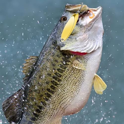 Fishing Lures Fishing Spoons, 5pcs/25pcs/30pcs/50pcs Trout Lures Bass Lures Hard Metal Spinner Baits for Salmon Bass Trout - color: 5PCS-7g