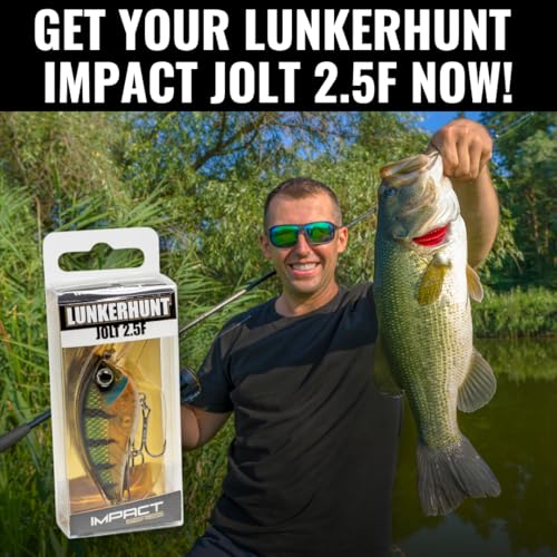Lunkerhunt Impact Jolt | Crankbait, Deep Diving Hard Bait Fishing Lure | Flat Sided Square Bill, Clear Water, Fresh Water Lure for Bass Fishing, Trout and Spike, Crappie - color: Green Back